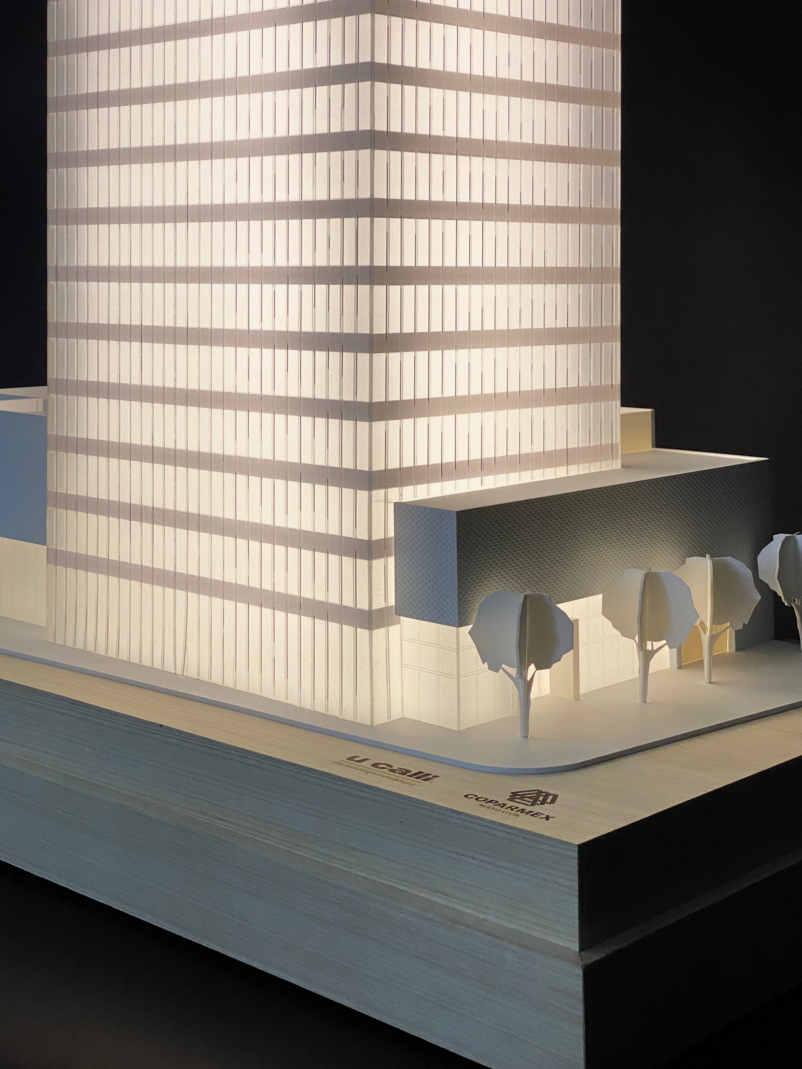 maqueta monocromática