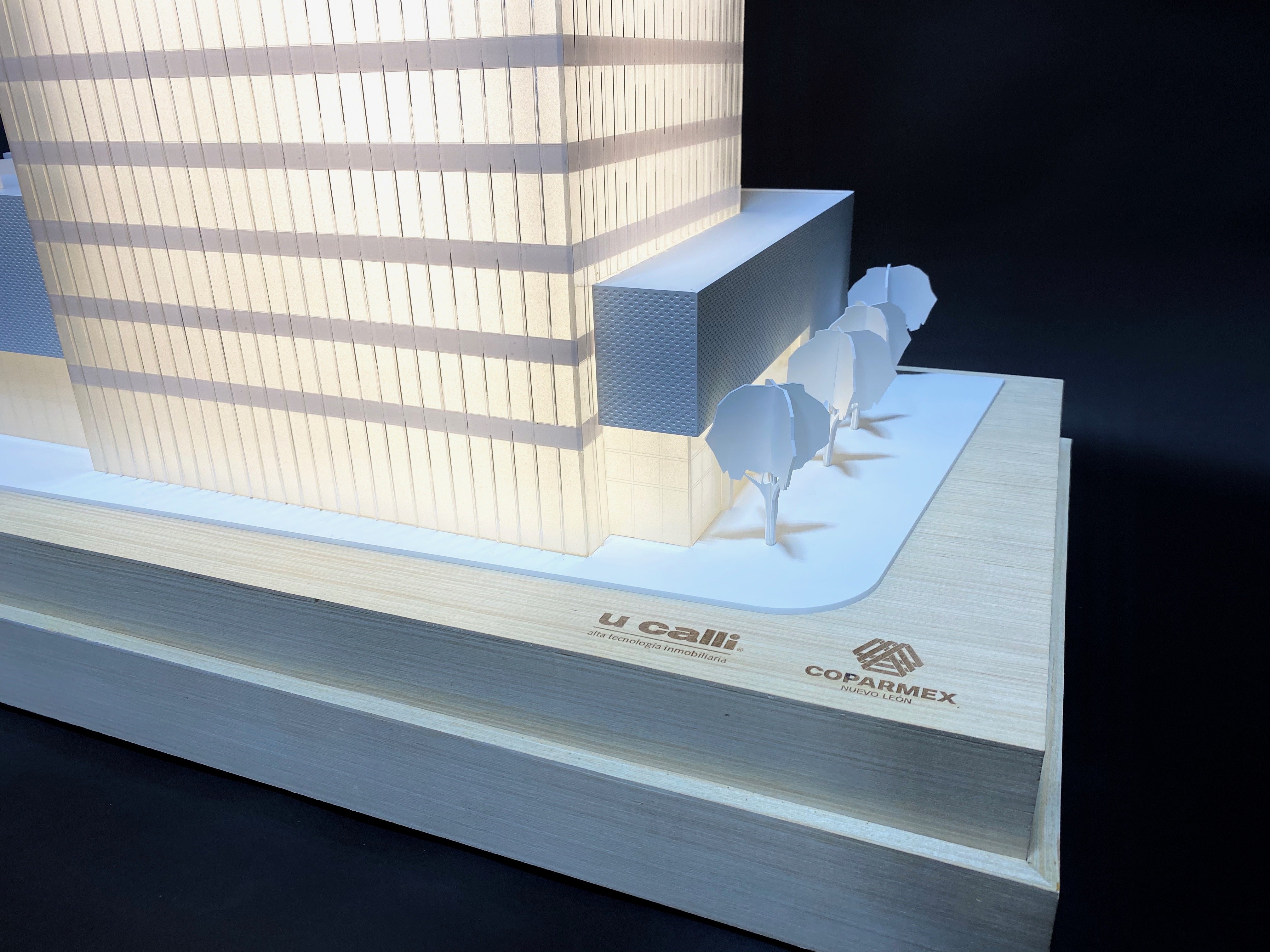 maqueta monocromática